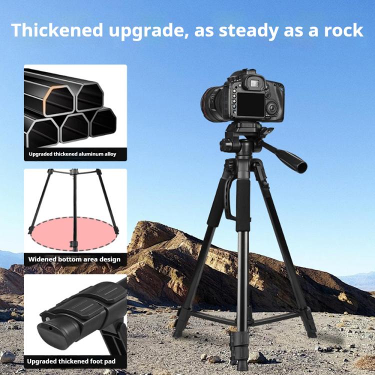 DCA5124B_13.jpg@32595bd039545b286acc1808beab3d84