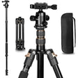TRIOPO K2508S+B1S Adjustable Portable  Aluminum Alloy Tripod with Ball Head for SLR Camera(Gold) - free shipping - PMC TechLife - Order now!