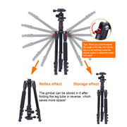 TRIOPO K2508S+B1S Adjustable Portable  Aluminum Alloy Tripod with Ball Head for SLR Camera(Red)