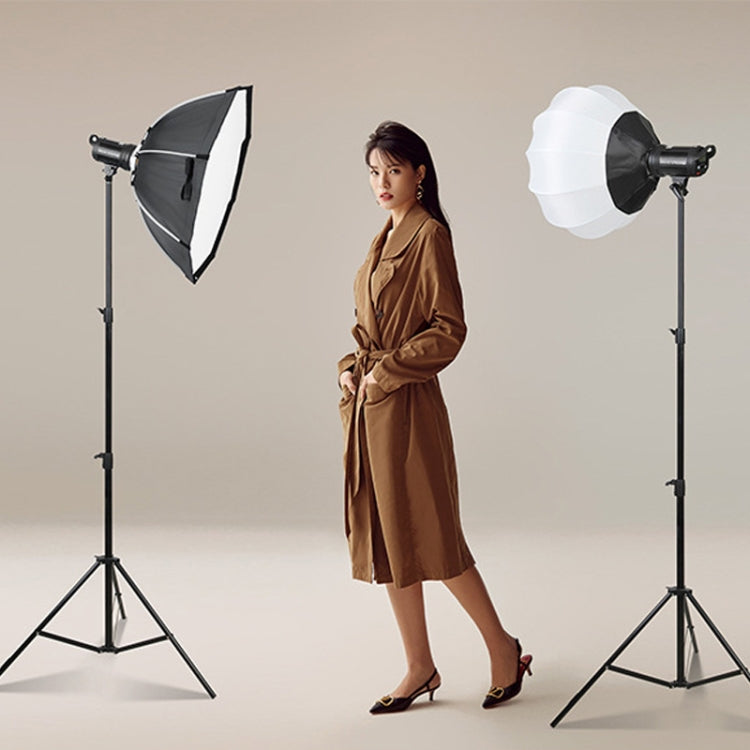 TRIOPO EX-60W Studio Flash Built-in Dissipate Heat System with EX-60III LED Single Light - free shipping - PMC Jewellery - Order now!