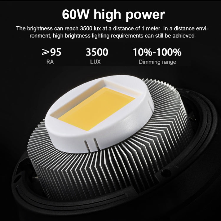 TRIOPO EX-60W Studio Flash Built-in Dissipate Heat System with EX-60III LED Single Light - free shipping - PMC Jewellery - Order now!
