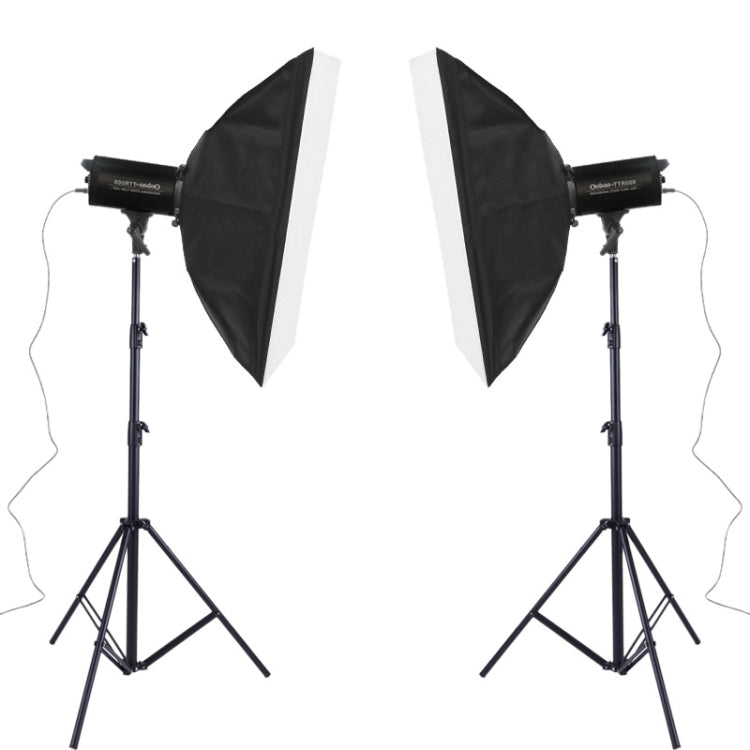 TRIOPO Oubao TTR400W Studio Flash with E27 150W Light Bulb - free shipping - PMC Jewellery - Order now!