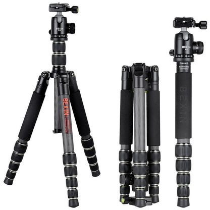 BEXIN BX285C K36 Portable Carbon Fiber Tripod for Dslr Digital DV Camcorder - free shipping - PMC Jewellery - Order now!