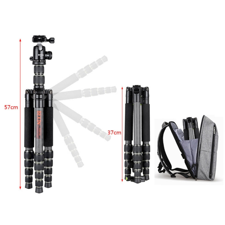BEXIN BX285C K36 Portable Carbon Fiber Tripod for Dslr Digital DV Camcorder - free shipping - PMC Jewellery - Order now!