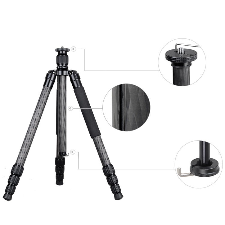 BEXIN W284C H36 Carbon Fiber Professional Photo Tripod for DSLR Camera - free shipping - PMC TechLife - Order now!