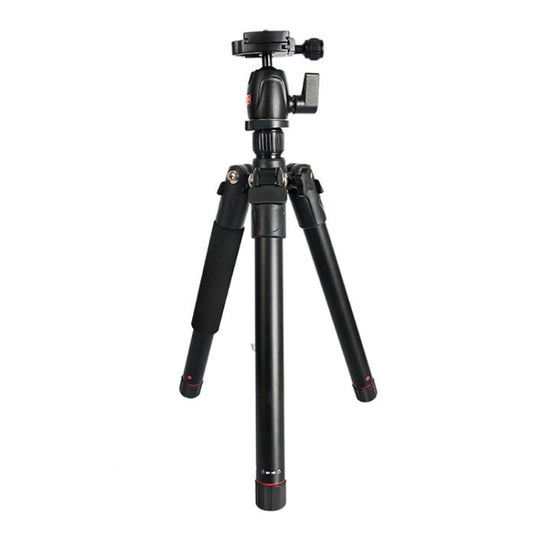 BEXIN MS12 Portable Lightweight Camera Ball Head Tripods Stand for Digital SLR DSLR camera - free shipping - PMC Jewellery - Order now!