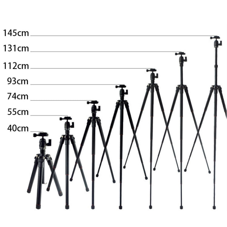 BEXIN MS12 Portable Lightweight Camera Ball Head Tripods Stand for Digital SLR DSLR camera - free shipping - PMC TechLife - Order now!