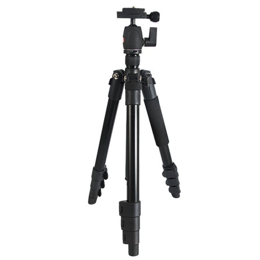 Bexin MS11 Portable Flexible Photographic Tripods for Smart Phone DSLR Slr Camera Camcorder DV - free shipping - PMC Jewellery - Order now!