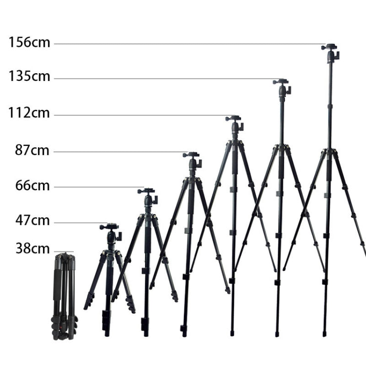 Bexin MS11 Portable Flexible Photographic Tripods for Smart Phone DSLR Slr Camera Camcorder DV