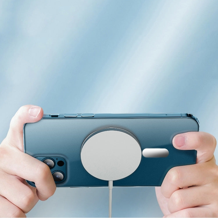 For iPhone 14 Pro Max Flower Frosted MagSafe Phone Case (Gypsophila) - iPhone 14 Pro Max Cases by PMC TechLife | Online Shopping South Africa | PMC TechLife