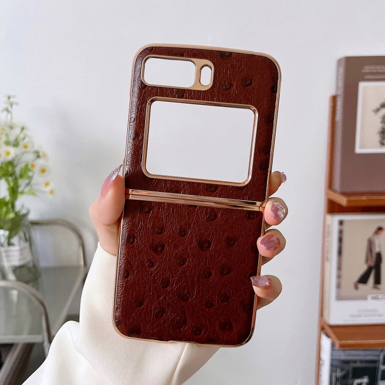 For Motorola Moto Razr 2022 Genuine Leather Ostrich Texture Nano Plating Phone Case(Coffee) - Motorola Cases by PMC TechLife | Online Shopping South Africa | PMC TechLife | Buy Now Pay Later Mobicred