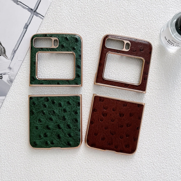 For Motorola Moto Razr 2022 Genuine Leather Ostrich Texture Nano Plating Phone Case(Coffee) - Motorola Cases by PMC TechLife | Online Shopping South Africa | PMC TechLife | Buy Now Pay Later Mobicred