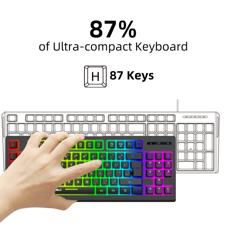 HXSJ L100 87 Keys RGB Backlit Film 2.4G Wireless Keyboard(Black) - Wireless Keyboard by HXSJ | Online Shopping South Africa | PMC TechLife | Buy Now Pay Later Mobicred