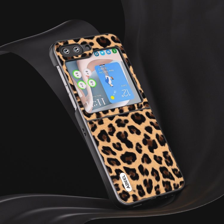 EDA004627901D_2.jpg@21ccb8e68ddc78baea1bb0b491540188