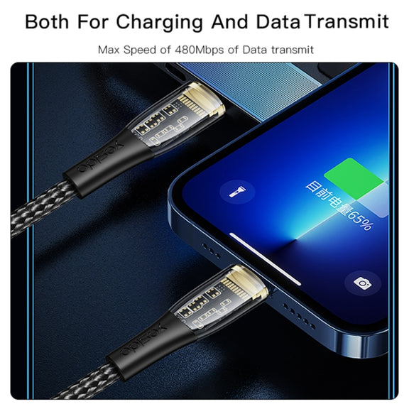 YESIDO CA101 PD 20W USB-C / Type-C to 8 Pin Braided Charging Data Cable, Length:1.2m(Black)