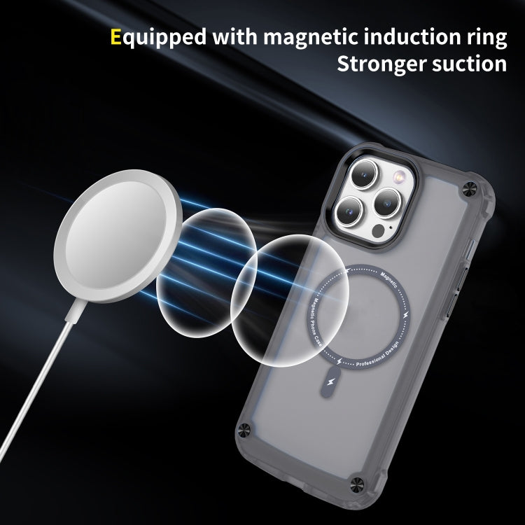 For iPhone 16 Pro Skin Feel TPU + PC MagSafe Magnetic Phone Case(Transparent Black) - iPhone 16 Pro Cases by PMC TechLife | Online Shopping South Africa | PMC TechLife | Buy Now Pay Later Mobicred