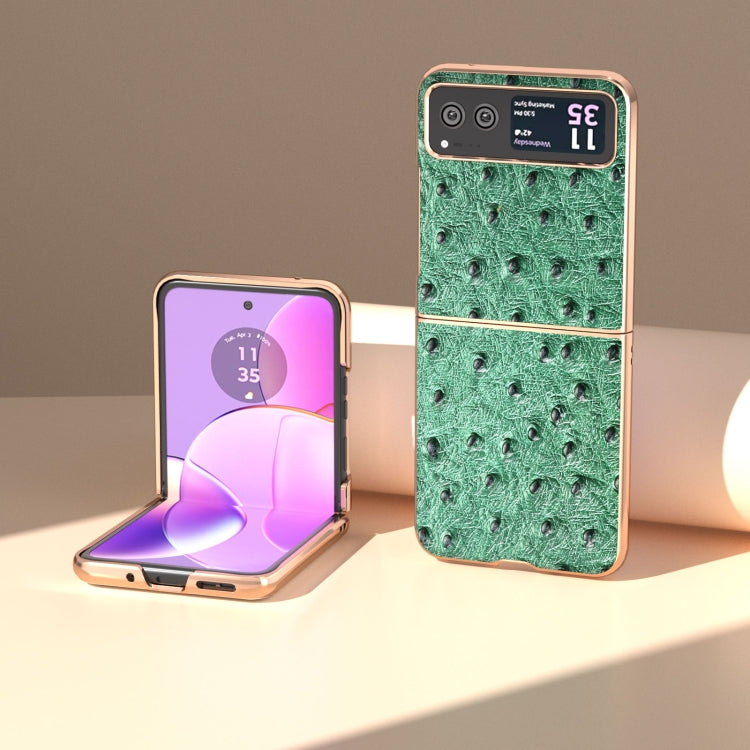 For Motorola Razr 40 Nano Plating Genuine Leather Ostrich Texture Phone Case(Green) - Motorola Cases by PMC TechLife | Online Shopping South Africa | PMC TechLife | Buy Now Pay Later Mobicred