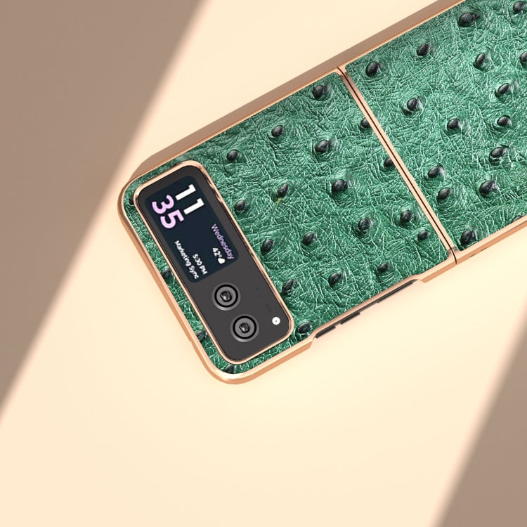 For Motorola Razr 40 Nano Plating Genuine Leather Ostrich Texture Phone Case(Green) - Motorola Cases by PMC TechLife | Online Shopping South Africa | PMC TechLife | Buy Now Pay Later Mobicred