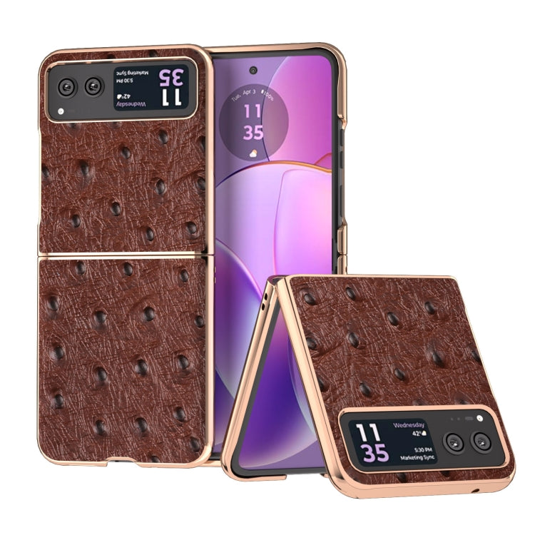 For Motorola Razr 40 Nano Plating Genuine Leather Ostrich Texture Phone Case(Coffee) - Motorola Cases by PMC TechLife | Online Shopping South Africa | PMC TechLife | Buy Now Pay Later Mobicred