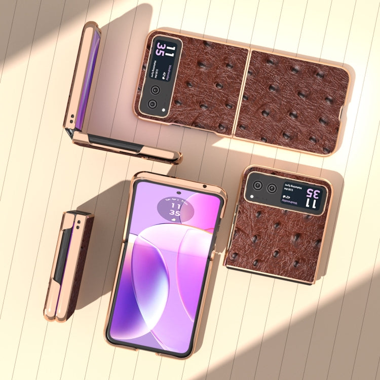 For Motorola Razr 40 Nano Plating Genuine Leather Ostrich Texture Phone Case(Coffee) - Motorola Cases by PMC TechLife | Online Shopping South Africa | PMC TechLife | Buy Now Pay Later Mobicred