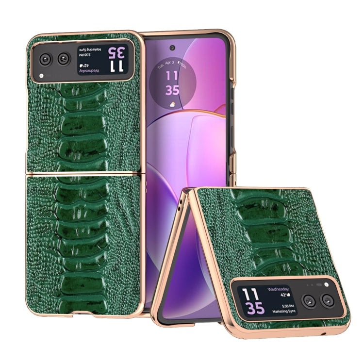For Motorola Razr 40 Nano Plating Genuine Leather Weilai Series Phone Case(Green) - Motorola Cases by PMC TechLife | Online Shopping South Africa | PMC TechLife | Buy Now Pay Later Mobicred