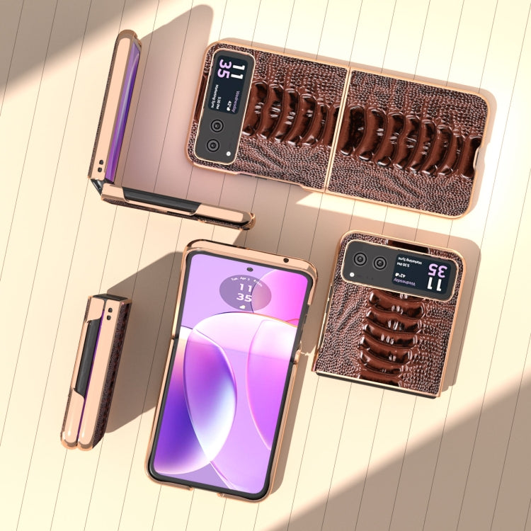 For Motorola Razr 40 Nano Plating Genuine Leather Weilai Series Phone Case(Coffee) - free shipping - PMC TechLife - Order now!