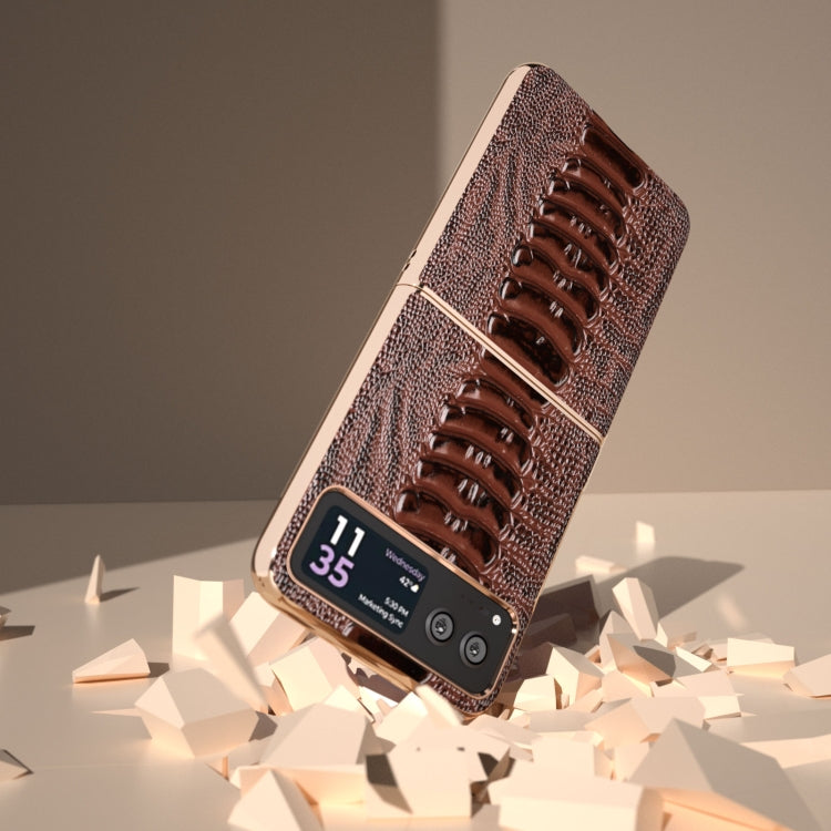 For Motorola Razr 40 Nano Plating Genuine Leather Weilai Series Phone Case(Coffee) - free shipping - PMC TechLife - Order now!