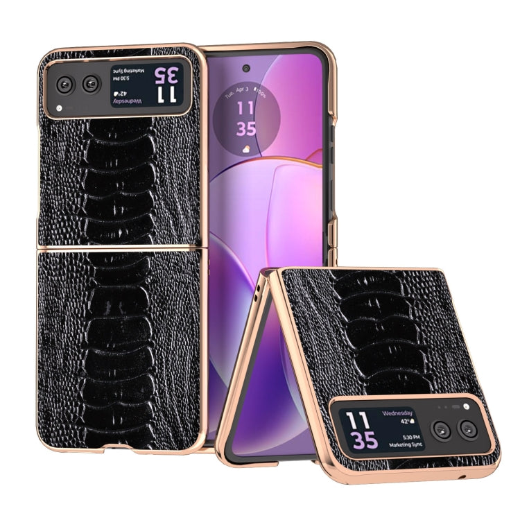 For Motorola Razr 40 Nano Plating Genuine Leather Weilai Series Phone Case(Black) - Motorola Cases by PMC TechLife | Online Shopping South Africa | PMC TechLife | Buy Now Pay Later Mobicred