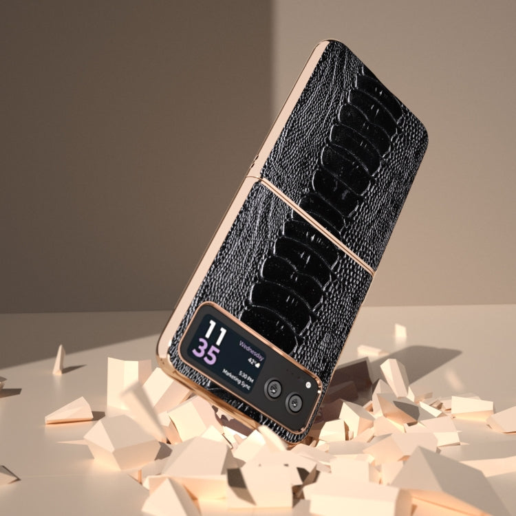 For Motorola Razr 40 Nano Plating Genuine Leather Weilai Series Phone Case(Black) - Motorola Cases by PMC TechLife | Online Shopping South Africa | PMC TechLife | Buy Now Pay Later Mobicred