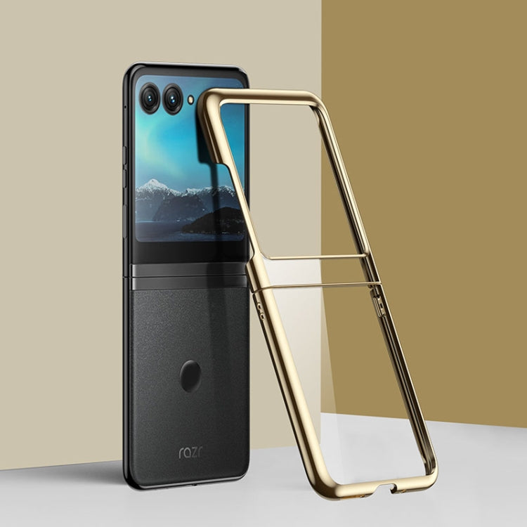 EDA004963701D.jpg@4fd47235f22c879623f374b59357e24b