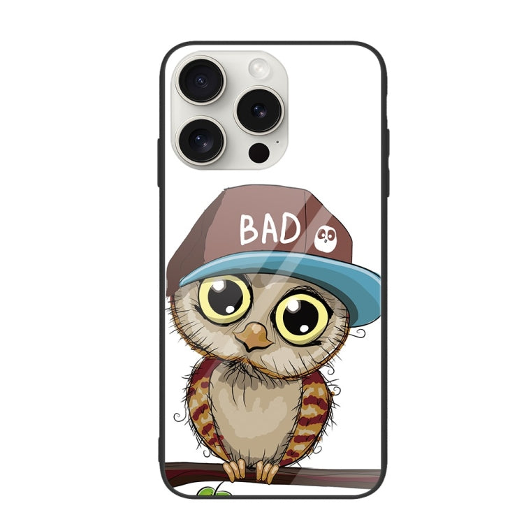 For iPhone 16 Pro Max Colorful Painted Glass Phone Case(Owl) - free shipping - PMC TechLife - Order now!