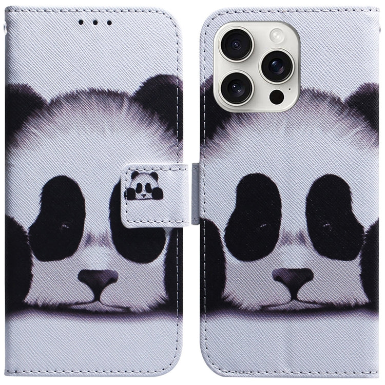 For iPhone 16 Pro Max Coloured Drawing Flip Leather Phone Case(Panda) - iPhone 16 Pro Max Cases by PMC TechLife | Online Shopping South Africa | PMC TechLife | Buy Now Pay Later Mobicred