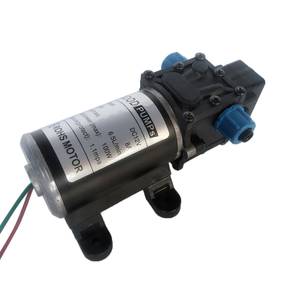 DC12V 100W Smart Double Thread Positive Pump Diaphragm 8L Atomizing Spray Water Pump for Car Washing / Irrigation
