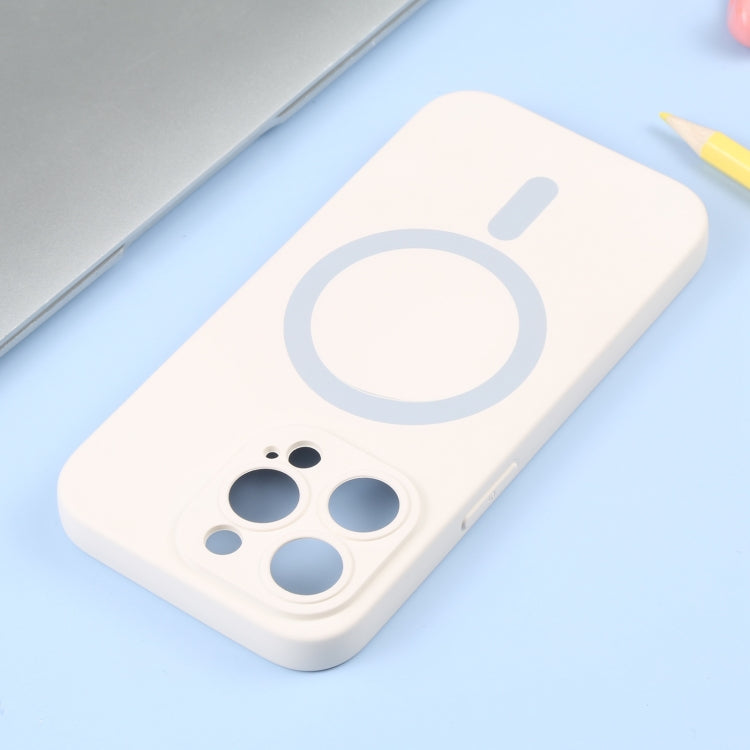 For iPhone 16 Liquid Silicone Magsafe Phone Case(White)