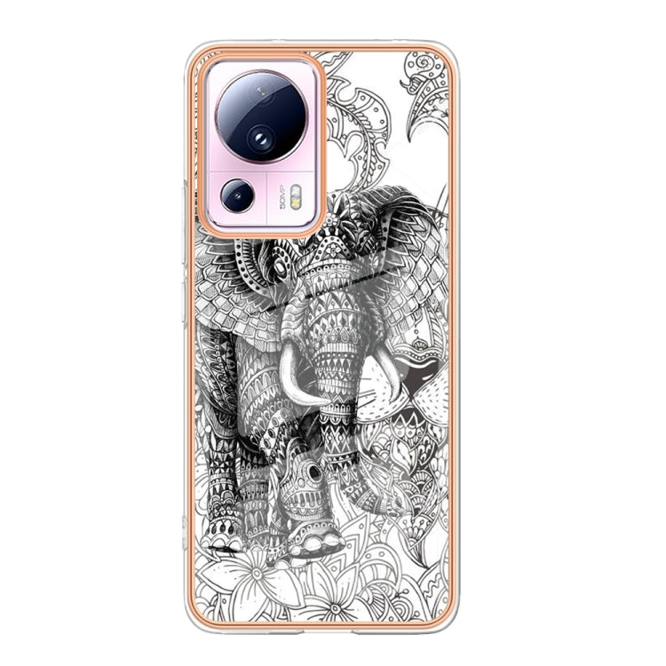 For Xiaomi 13 Lite 5G Electroplating Marble Dual-side IMD Phone Case(Totem Elephant) - 13 Lite Cases by PMC TechLife | Online Shopping South Africa | PMC TechLife | Buy Now Pay Later Mobicred