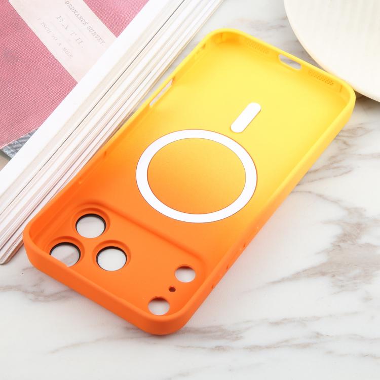 EDA005168010C_3.jpg@4b669ad798a9867a49b021176bc36266