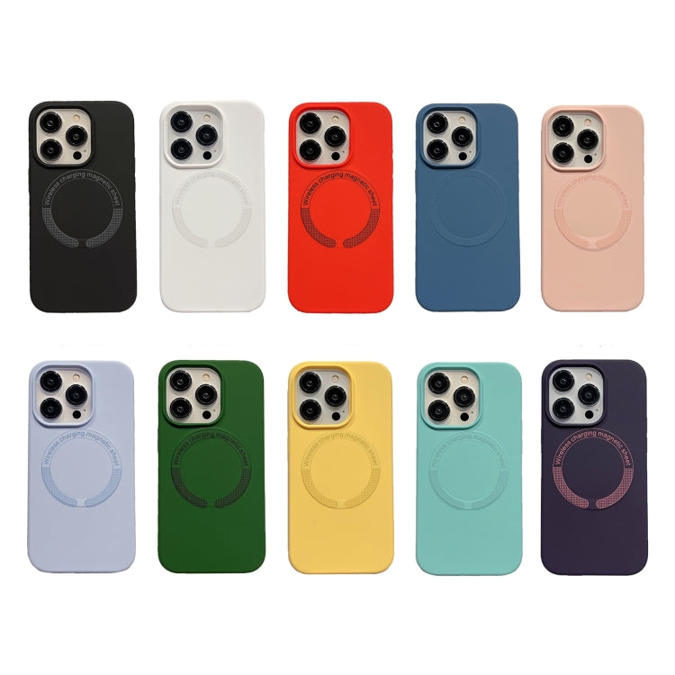 For iPhone 15 Pro Max Magsafe Magnetic Silicone Phone Case(Black) - iPhone 15 Pro Max Cases by PMC TechLife | Online Shopping South Africa | PMC TechLife