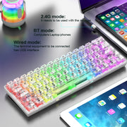 XUNFOX K30 Pro 2.4G + BT + Wired Transparent 61-Keys Mechanical White Axis Keyboard(Black)