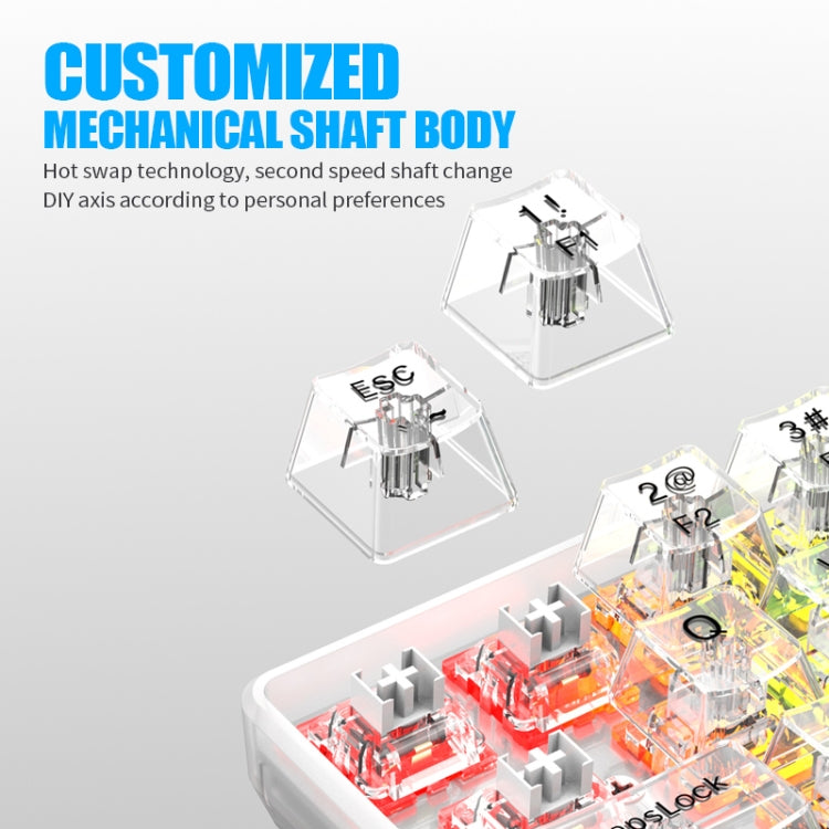 XUNFOX K30 Pro 2.4G + BT + Wired Transparent 61-Keys Mechanical White Axis Keyboard(White) - Wireless Keyboard by PMC Jewellery | Online Shopping South Africa | PMC Jewellery | Buy Now Pay Later Mobicred