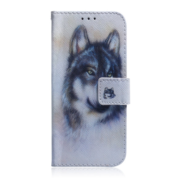 For Honor Magic6 Pro Coloured Drawing Flip Leather Phone Case(White Wolf)
