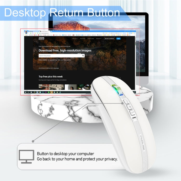 HXSJ M113 2400DPI Dual Mode 2.4GHz + Bluetooth 5.1 Wireless Mouse(Pearl White) - free shipping - PMC Jewellery - Order now!
