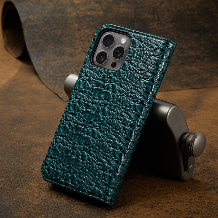 For iPhone 16 Pro Fierre Shann Crocodile Texture Magnetic Genuine Leather Phone Case(Green) - iPhone 16 Pro Cases by FIERRE SHANN | Online Shopping South Africa | PMC Jewellery | Buy Now Pay Later Mobicred