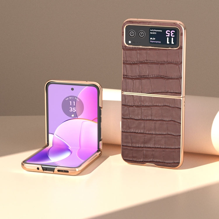 For Motorola Razr 40 Crocodile Texture Genuine Leather Electroplating Phone Case(Brown) - Motorola Cases by PMC TechLife | Online Shopping South Africa | PMC TechLife | Buy Now Pay Later Mobicred