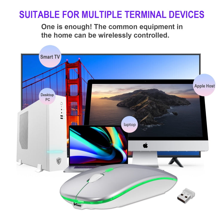 HXSJ M40 2.4GHZ 800,1200,1600dpi Third Gear Adjustment Colorful Wireless Mouse USB Rechargeable(Silver)