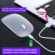 HXSJ M40 2.4GHZ 800,1200,1600dpi Third Gear Adjustment Colorful Wireless Mouse USB Rechargeable(Silver)