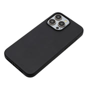 For iPhone 12 Pro Max Wheat MagSafe Magnetic Straw Material + TPU Phone Case(Black)