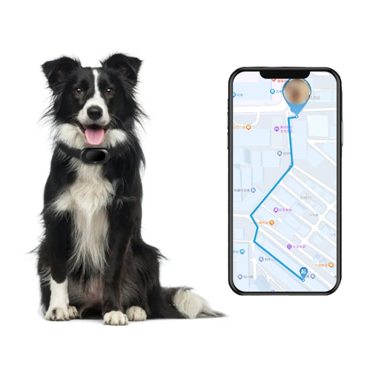 V41 Smart GPS Tracker IP67 Waterproof Pet Anti-loss Positioner, Version:4G  Version-A for Europe Asia Africa Australia(Black) - Pet Tracker by PMC TechLife | Online Shopping South Africa | PMC TechLife | Buy Now Pay Later Mobicred