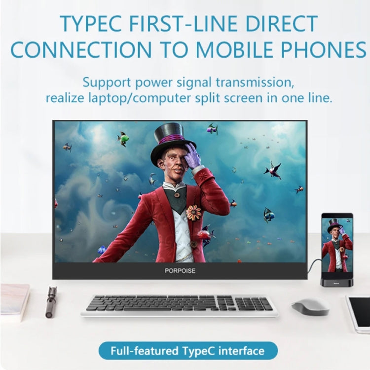 17.3 inch FHD 1920x1080P IPS Screen Portable Monitor(No Charger) - LCD Monitors by PMC TechLife | Online Shopping South Africa | PMC TechLife | Buy Now Pay Later Mobicred