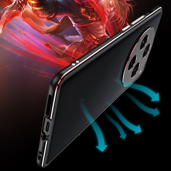 For vivo X100 Aurora Series Metal Frame Phone Case(Black Silver)