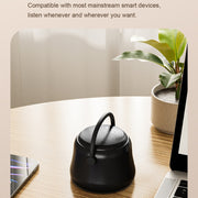 EWA A20 Mini Bluetooth Bass Radiator Metal Speaker(Sliver)